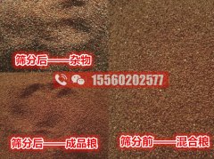 海藻籽里面的雜物應(yīng)該用啥機(jī)器清除?海藻籽比重風(fēng)選篩分機(jī)